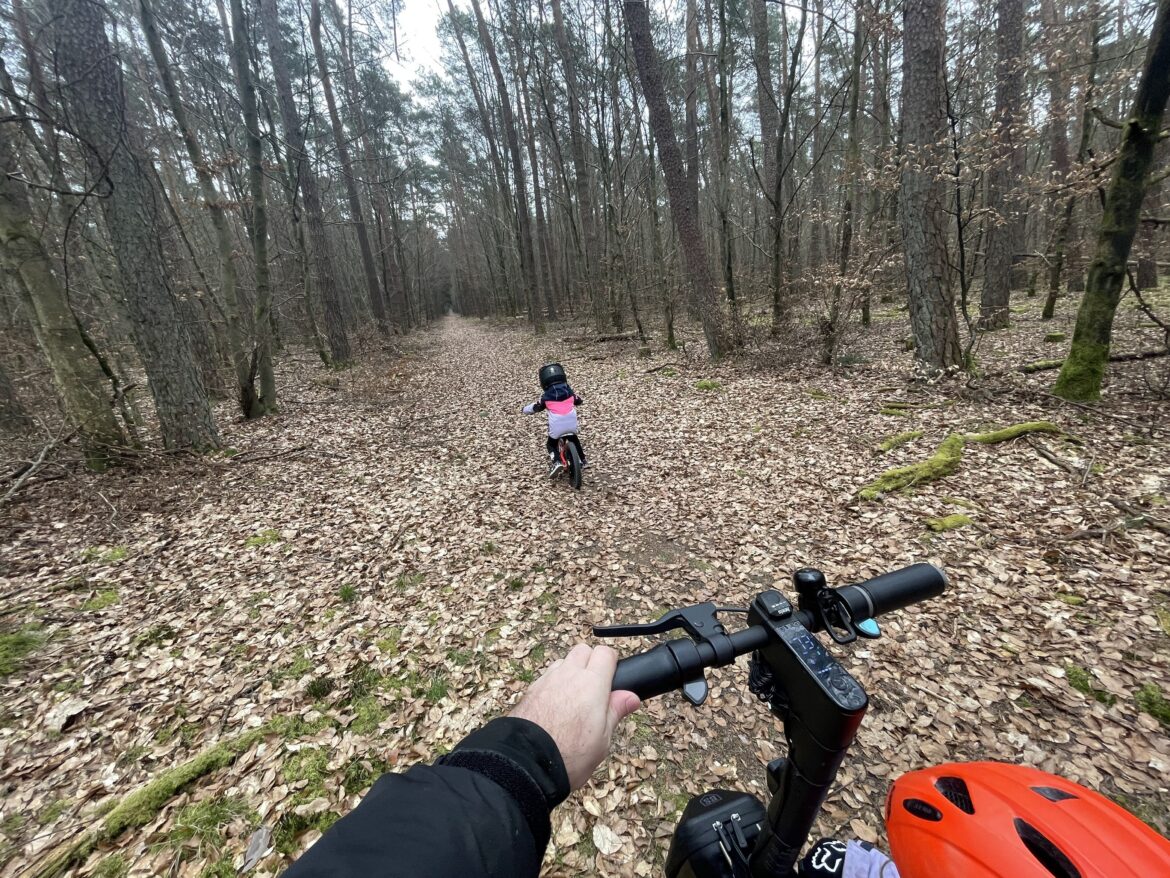 Heute eine Runde durch den Wald